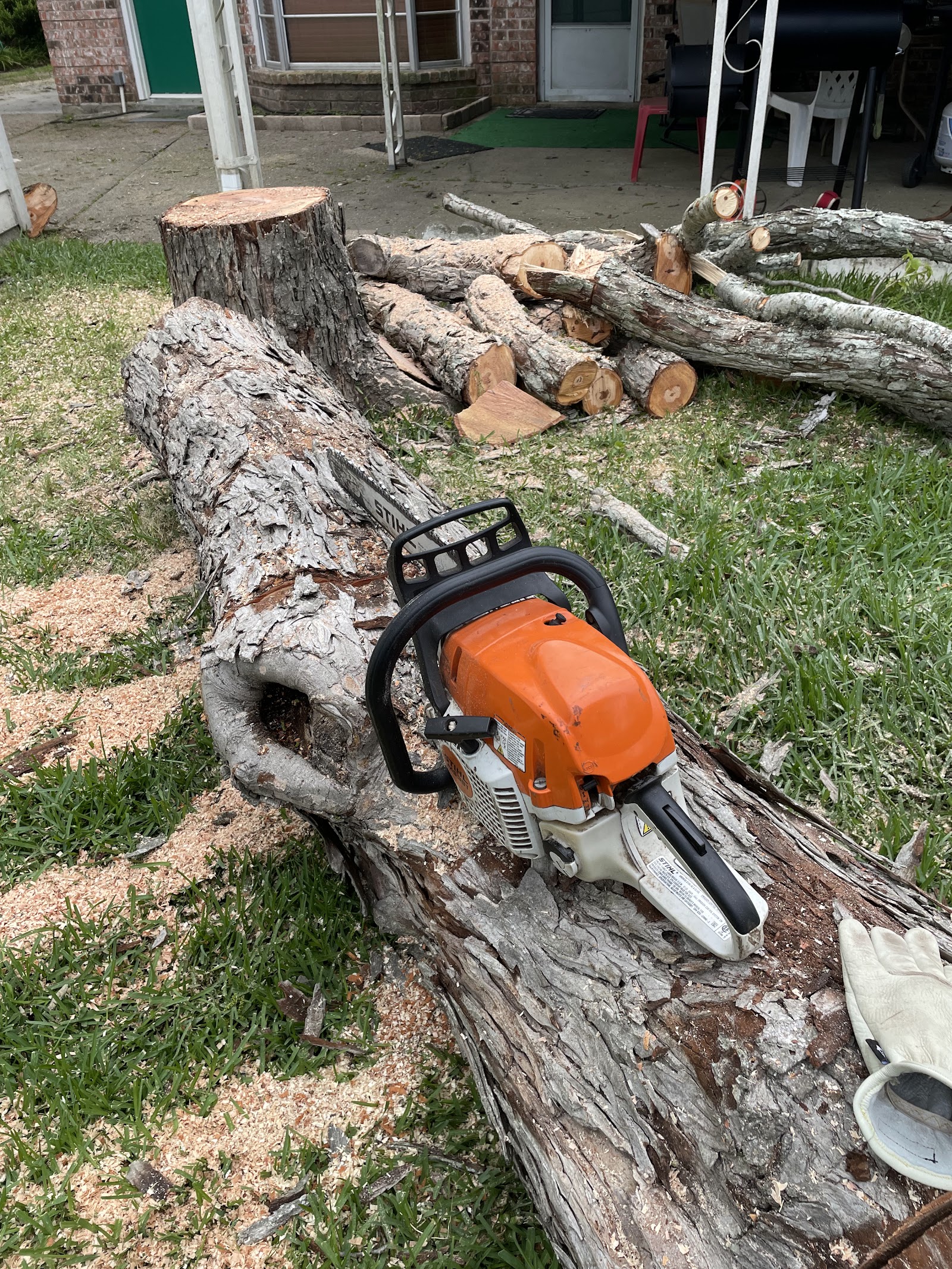 Stihl saw on a felled trunk during stump and trunk cleanup