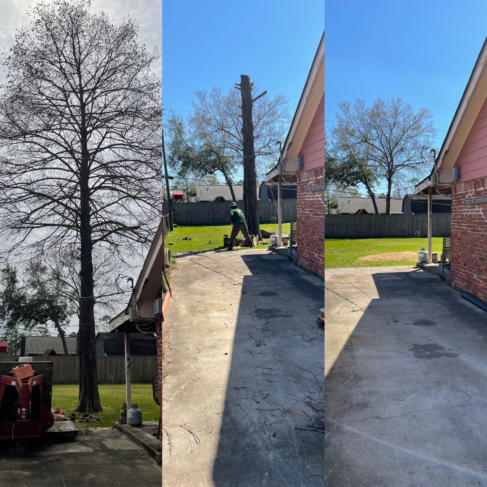 Lot clearing and brush haul-off job by Cut 'N Edge Trees